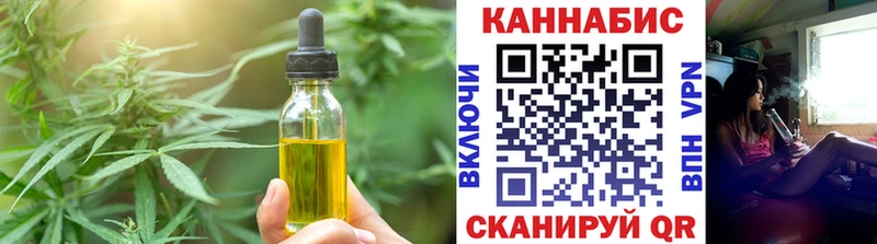Купить закладки  Карачаевск  Cannafood конопля 