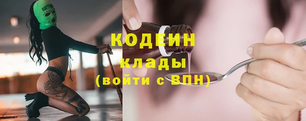 кокс Касимов