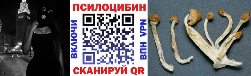 Купить закладки  Карачаевск  Псилоцибиновые грибы Psilocybine cubensis 